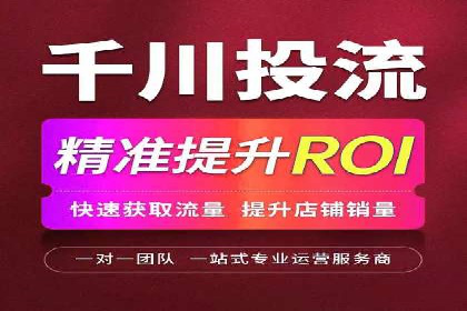 竞价推广公司案例揭秘：如何利用数据分析提升广告效果